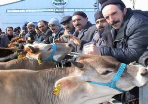 Denetimin adı var, kendi yok